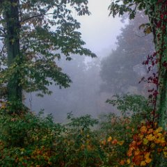 1 overlook_fog1