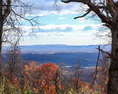 1st overlook brp