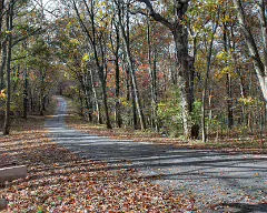 fall 2011_2