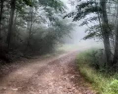bald mtn