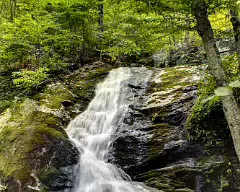 crabtree falls_1