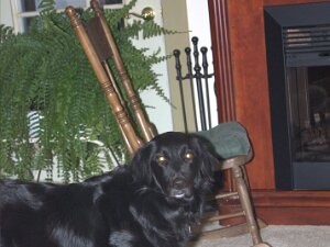 2009_02_07_ pics