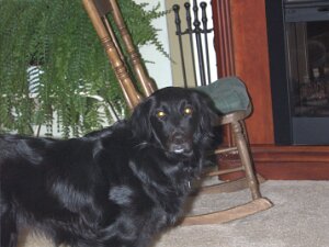 2009_02_07_ pics