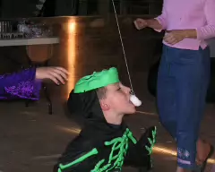hf 016
