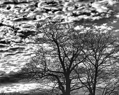 bfp_031209_clouds_2