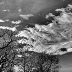 did63_bfp_031209_clouds_3 bw