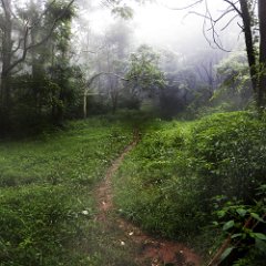 a hobbits trail