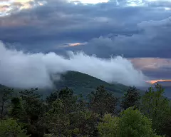 bear den fog