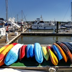 beauford (sc) kayaks
