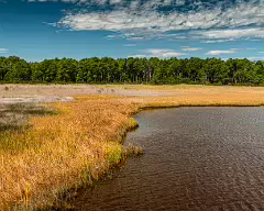 bodie island (3)