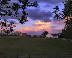across the road (1)