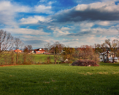 across the road (3)