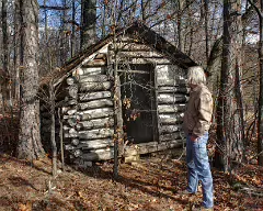 cabin2