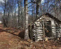 cabin4