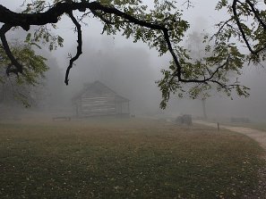Humpback Farm_Foggy